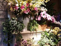 -春暖花开(西溪店)