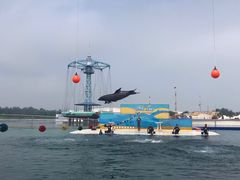 -秦皇岛乐岛海洋王国