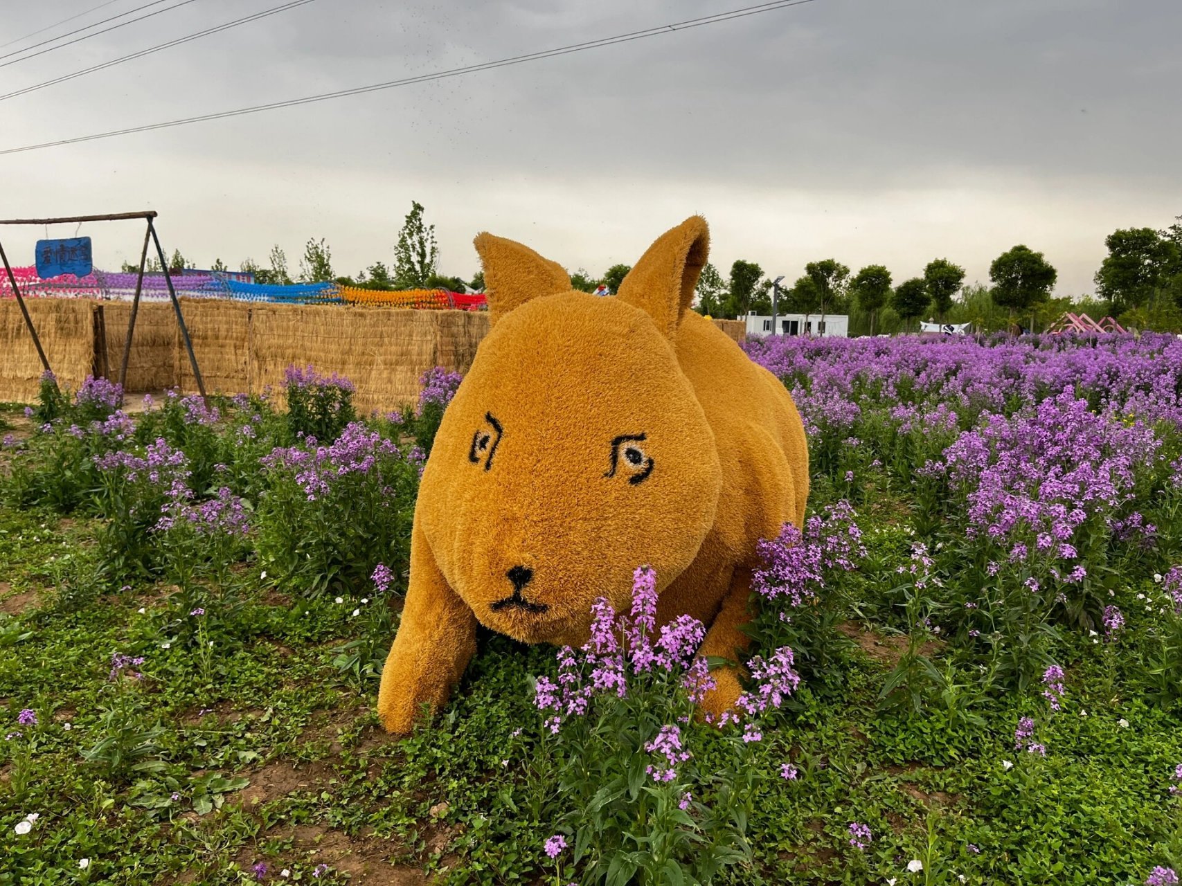 安阳洪河樱花小镇概述 洪河樱花小镇坐落