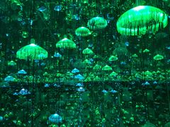 -杭州西湖星空魔幻城(星空艺术馆品牌旗舰店)