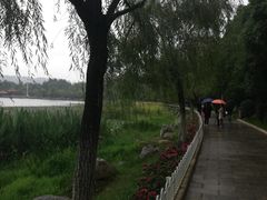 -洛龙公园
