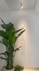 -魔型社烫染店