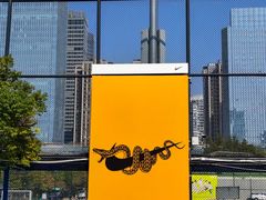 -天河体育中心篮球城