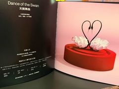 -BLACKSWAN黑天鹅(环球店)