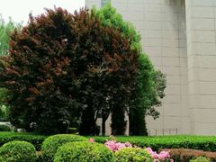 -长安大学(北校区)