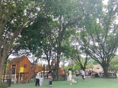 -东莞植物园