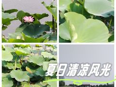 -西海子公园