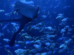 -南昌融创海世界
