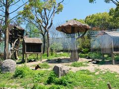 -上海野生动物园