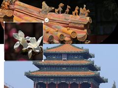 -故宫博物院(故宫)