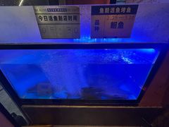 -鱼酷活鱼烤鱼(静安大融城店)