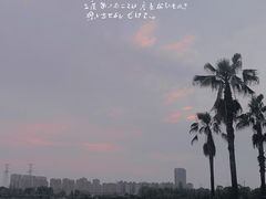 -金沙湖公园