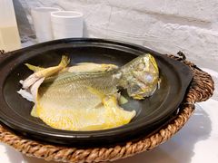 泉水黄花鱼-锦園(伊势丹美食城店)