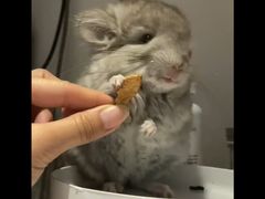 -龙猫仔乐园(惠福东路店)