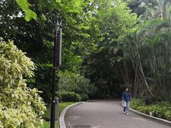 -东风公园