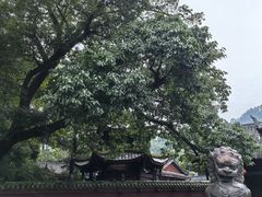 -峨眉山报国寺