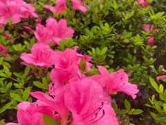 -重庆中央公园(渝北区)