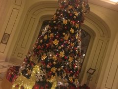 -利顺德大饭店·维多利亚花园(小白楼店)