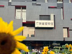-广东省博物馆