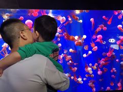 -成都浩海立方海洋公园