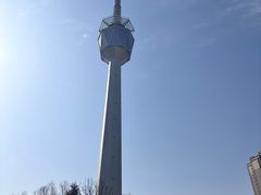 -陕西自然博物馆