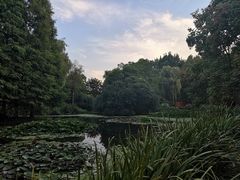 -洛阳市隋唐城遗址植物园