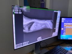 -北京恒爱动物医院(清景园分院)