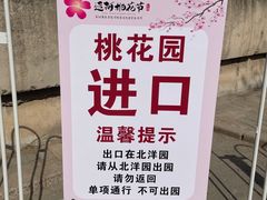 -桃花堤公园