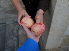 -草庵摩尼教遗址公园