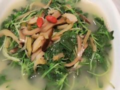 -石头咕(葵蓬店)