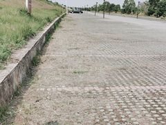 -鄱阳湖国家湿地公园