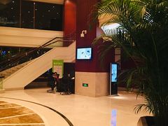 -上海圣淘沙万怡酒店