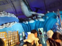 -烟台海昌鲸鲨海洋公园