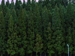 -南京金牛湖风景区