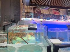 -同庆楼(滨湖万达广场店)