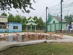 -秦皇岛野生动物园