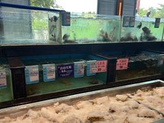 -盆满钵满·国家非遗传承(云台店)