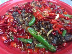 干煸鳝鱼-拈一筷子·宜宾江湖菜(十一街店)