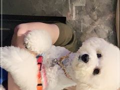 -橘焱胡同烧肉夜食(BFC外滩金融中心店)