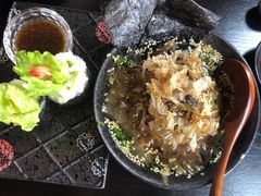 -春草居酒屋·晴子の店