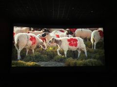 -卢米埃IMAX影城(温州万象城激光店)