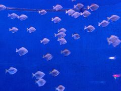 -沈阳海洋探索中心