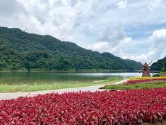 -广州市石门国家森林公园