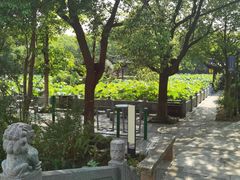 -丝绸小镇荻港古村