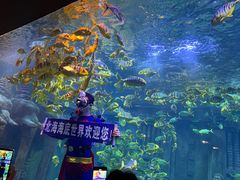 -北海海底世界