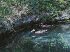 -水磨沟公园