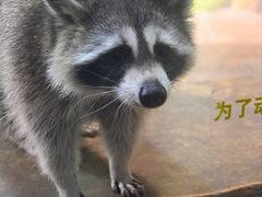 -大连圣亚海洋世界
