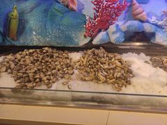 -比尔森韩式烤肉自助(国商店)