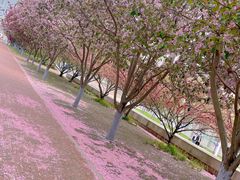 -哈尔滨文化公园