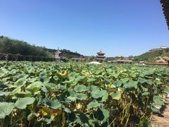 -渭南桃花源民俗文化园